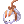Captured Rabbit