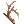Dry Twig