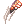 Falconer Claw [1]