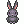 Costume Black Rabbit