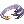 Devil Ring [1]