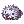Sea Otter Hat