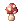 Mushroom Band