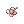 Romantic White Flower