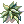 Samanbaia [1]