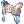 DVAngelNurseCap [1]