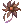 Withered Flower