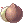 Coconut Fruit