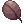 Pincher of Beetle