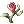 Flor Celestial
