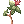 Poison Herb Makulata