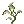 Poison Herb Seratum