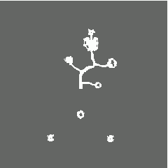 Mana Spring