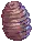 Pupa