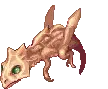 Acidus