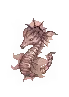 Animation du monstre
