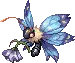 Papila Cae