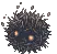 N/A