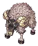 Ashen Goat