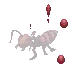 N/A