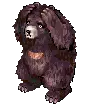 Zipper Bear