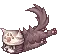 Suspicious Cat