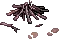 Trace of an adventurer