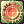 Solar Blessings